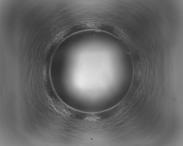 X0000052560595200507081638