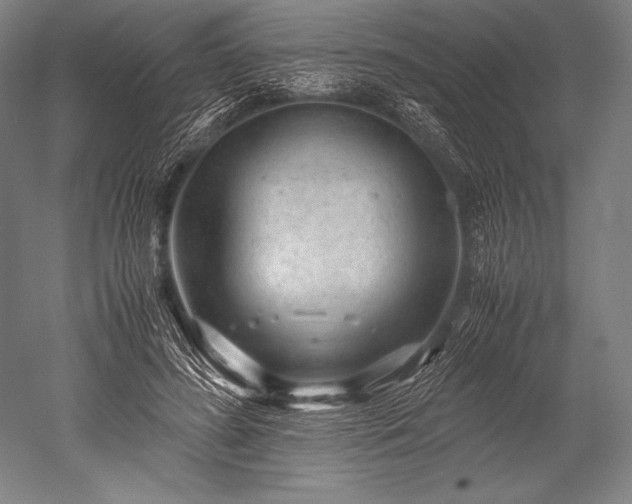 X0000052560596200507081638