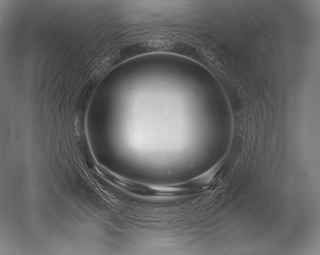 X0000052560597200507081637