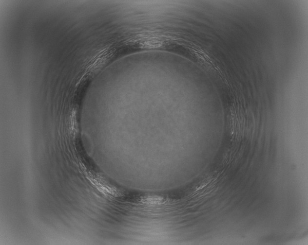 X0000052560598200507081637