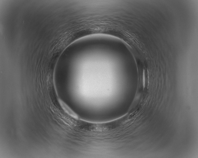 X0000052560601200507081637