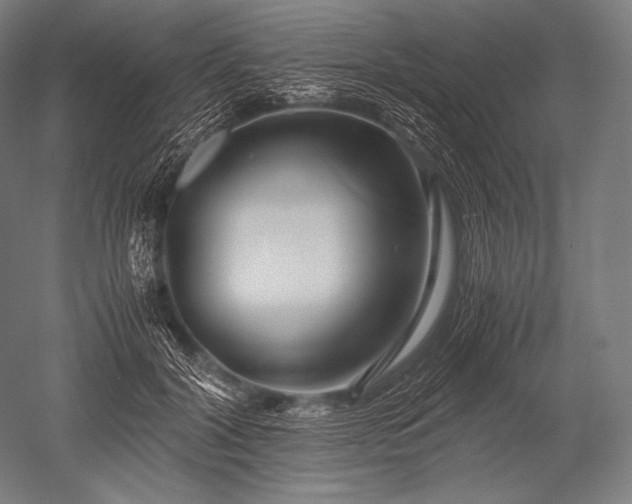 X0000052560604200507081637