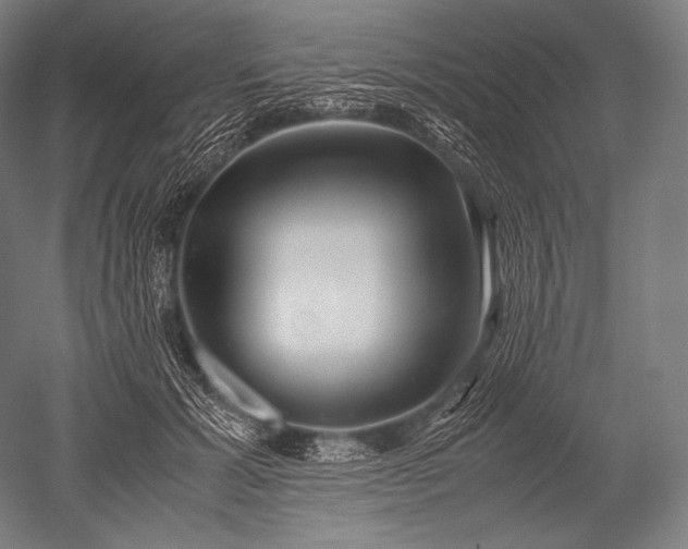 X0000052560605200507081637