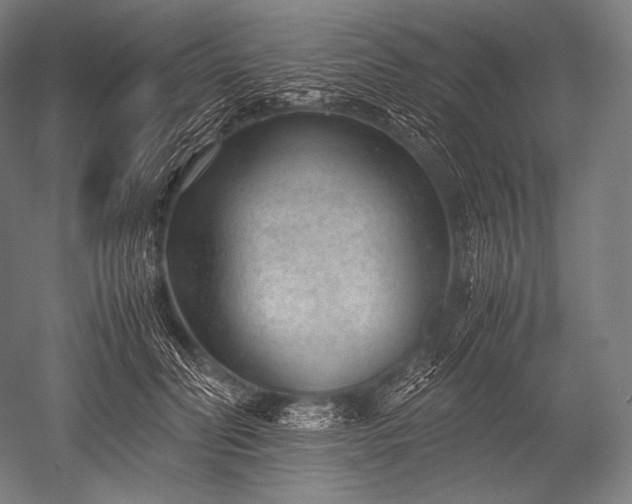 X0000052560606200507081637