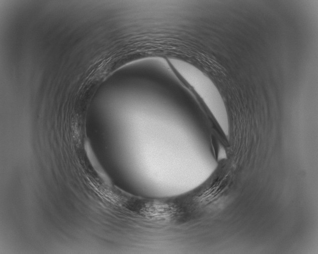 X0000052560607200507081637