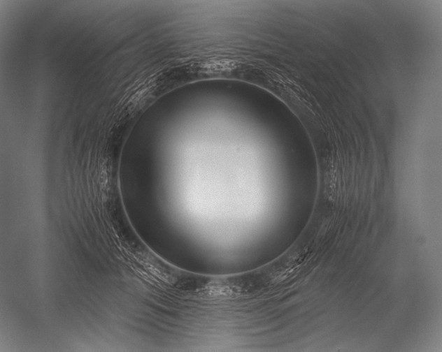 X0000052560608200507081637