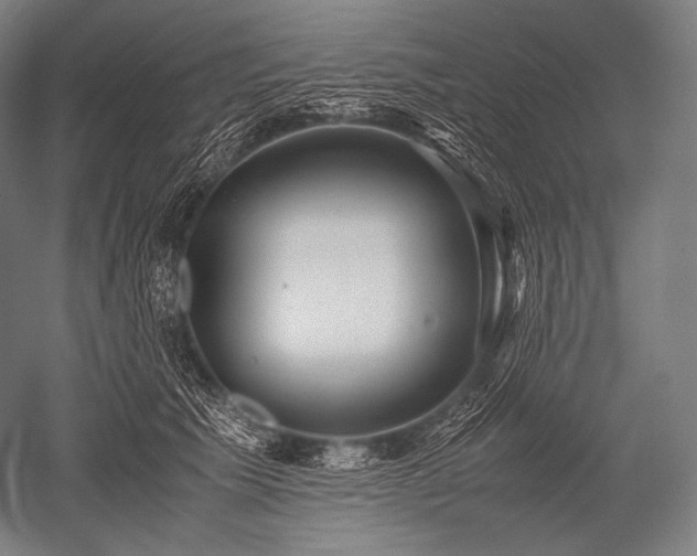 X0000052560609200507081637