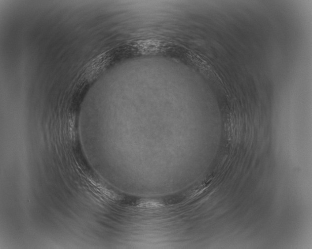 X0000052560610200507081637
