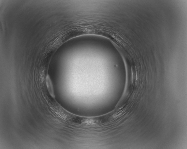 X0000052560611200507081637
