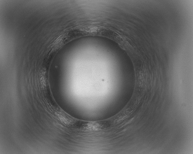 X0000052560612200507081637