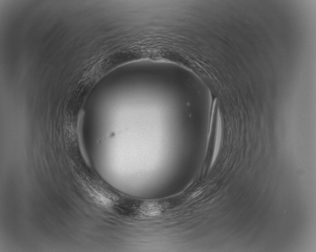 X0000052560613200507081637