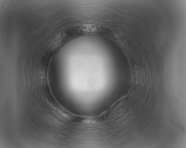 X0000052560614200507081637