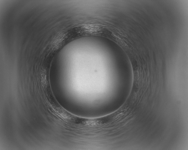 X0000052560615200507081637