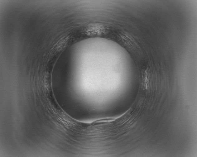 X0000052560616200507081637