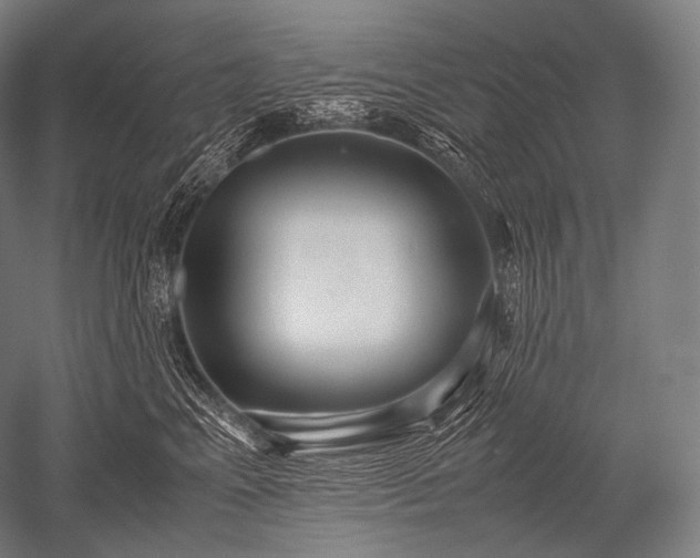 X0000052560617200507081637