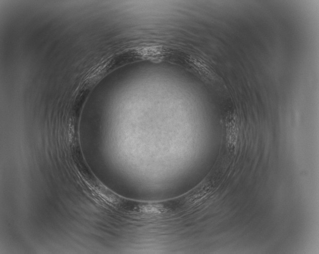 X0000052560618200507081637