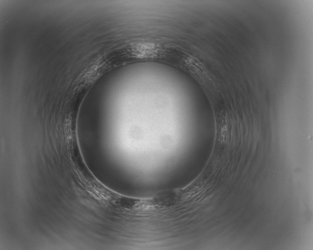 X0000052560620200507081637
