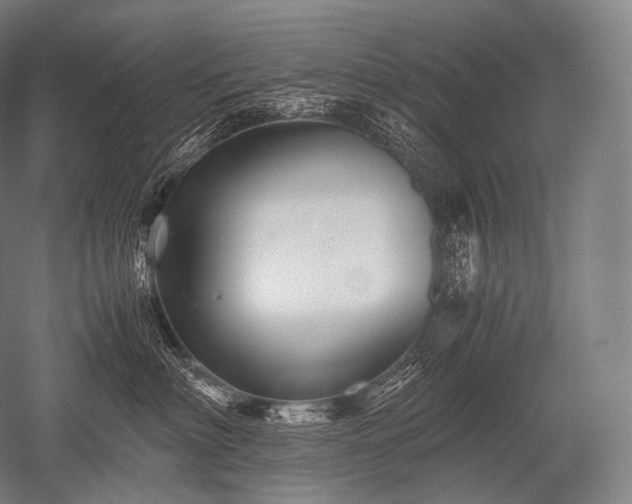 X0000052560622200507081637