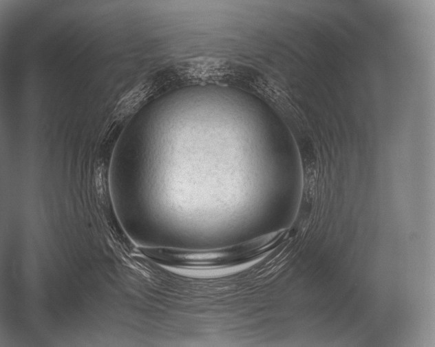 X0000052560623200507081637