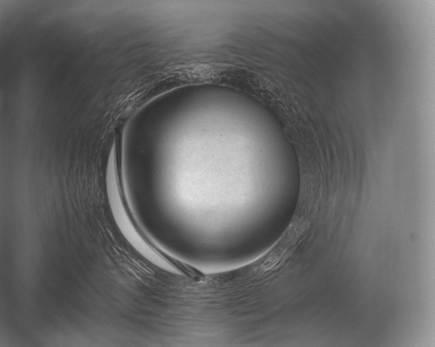 X0000052560624200507081637
