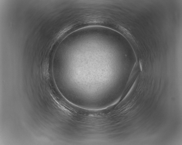 X0000052560627200507081636
