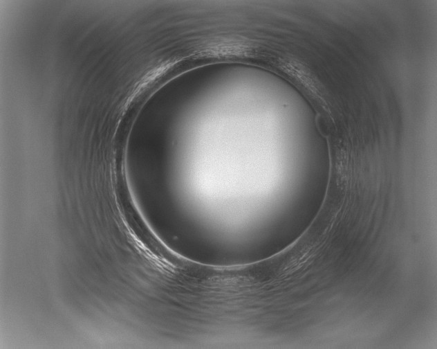 X0000052560629200507081636
