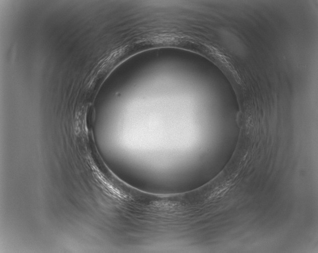 X0000052560633200507081636