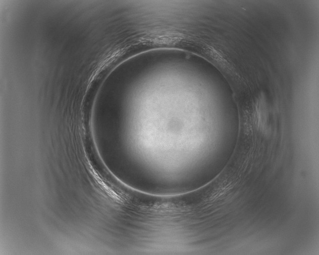 X0000052560634200507081636