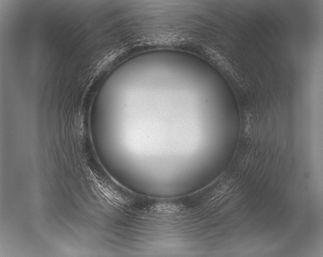 X0000052560636200507081636