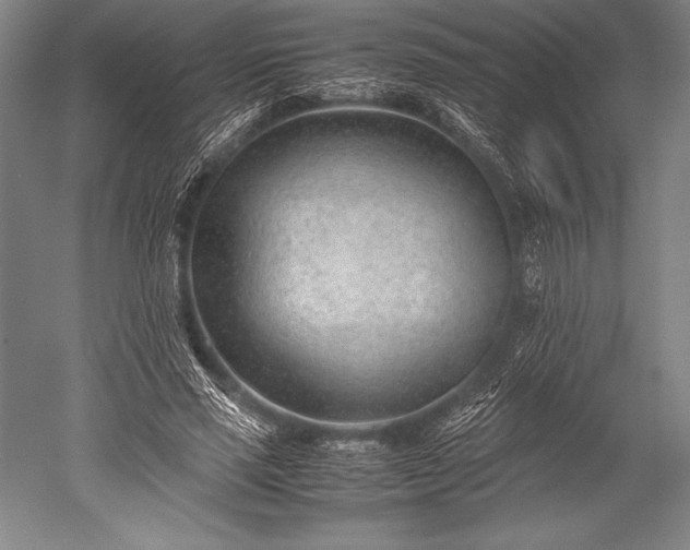 X0000052560637200507081636