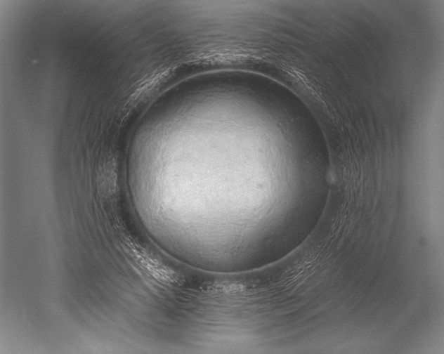 X0000052560640200507081636