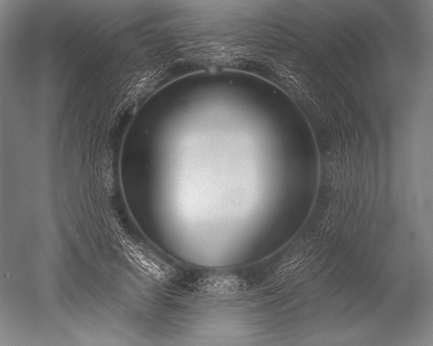X0000052560642200507081637