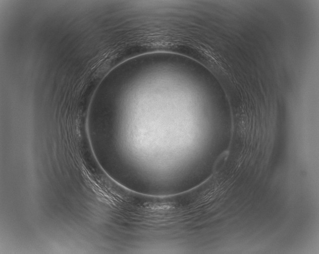 X0000052560643200507081637