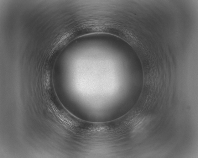 X0000052560646200507081637