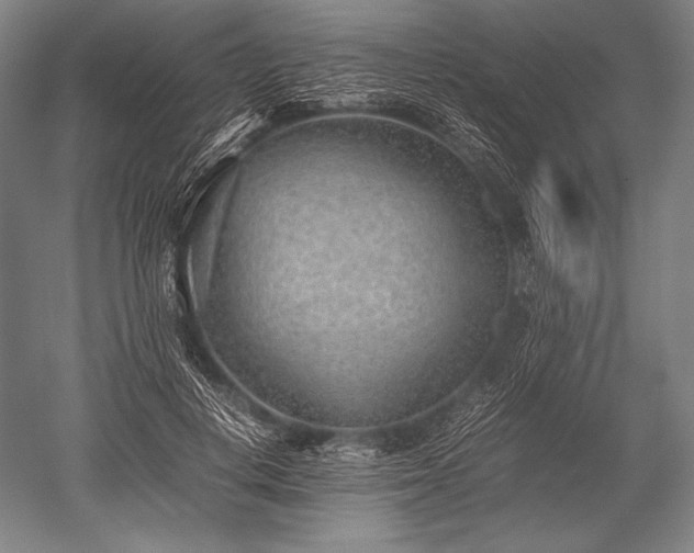 X0000052560648200507081637