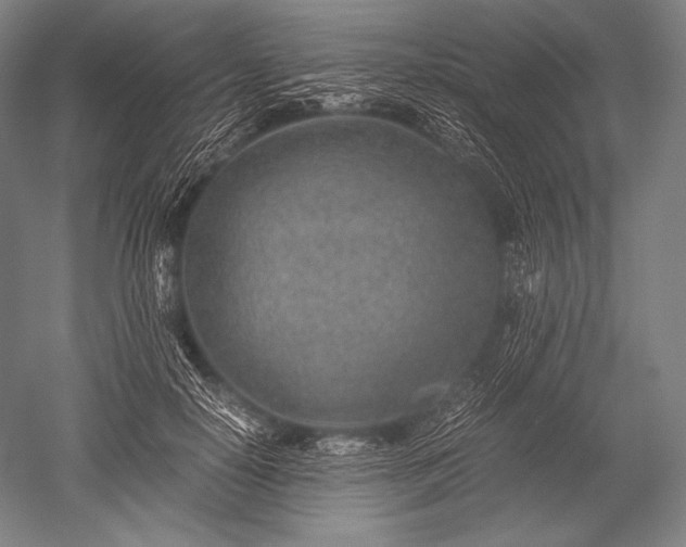 X0000052560650200507081637
