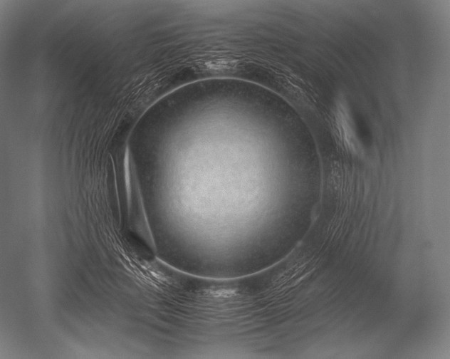 X0000052560651200507081637