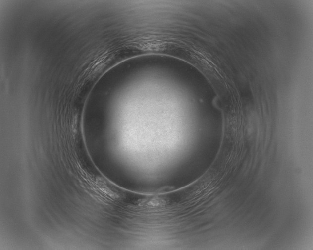 X0000052560652200507081637