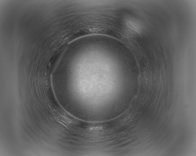 X0000052560653200507081637