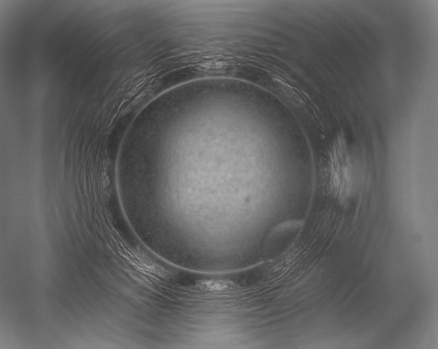 X0000052560654200507081637