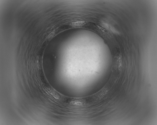 X0000052560655200507081637