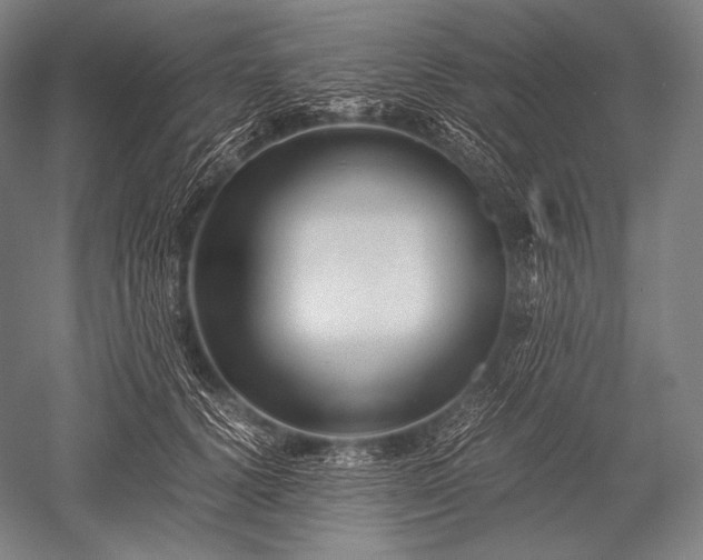 X0000052560656200507081637