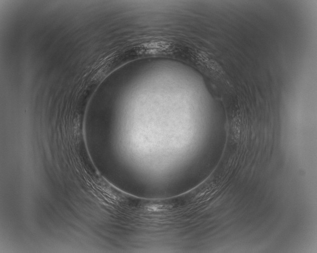 X0000052560657200507081637