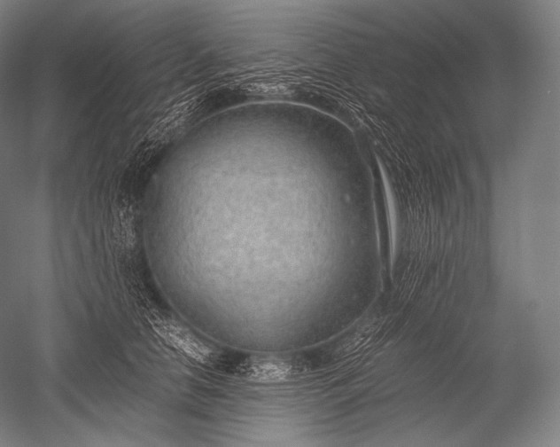 X0000052560658200507081637