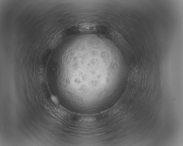 X0000052560659200507081637