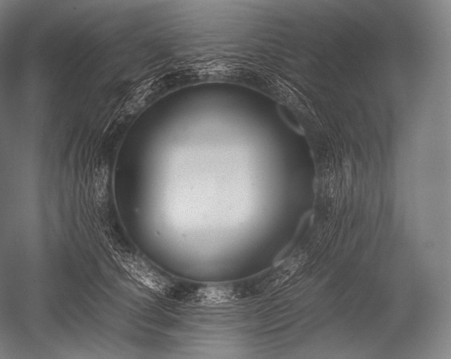 X0000052560660200507081637