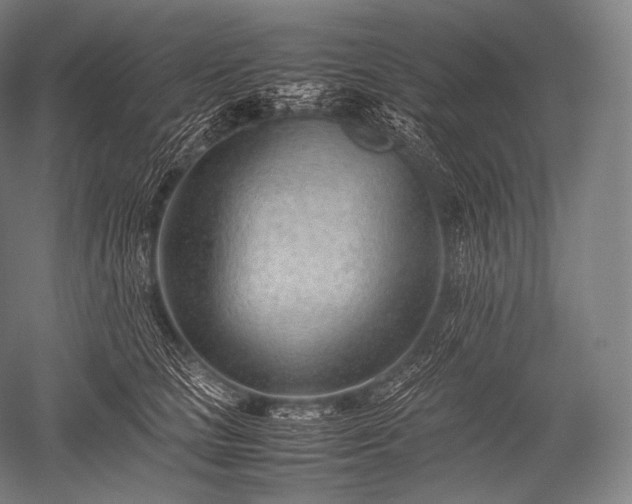 X0000052560661200507081637