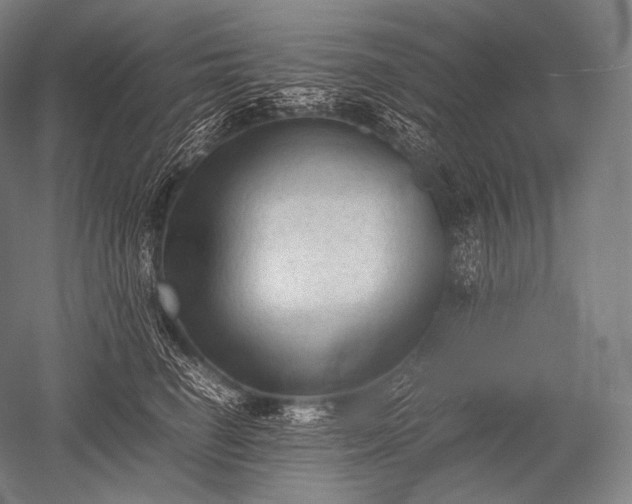 X0000052560662200507081637