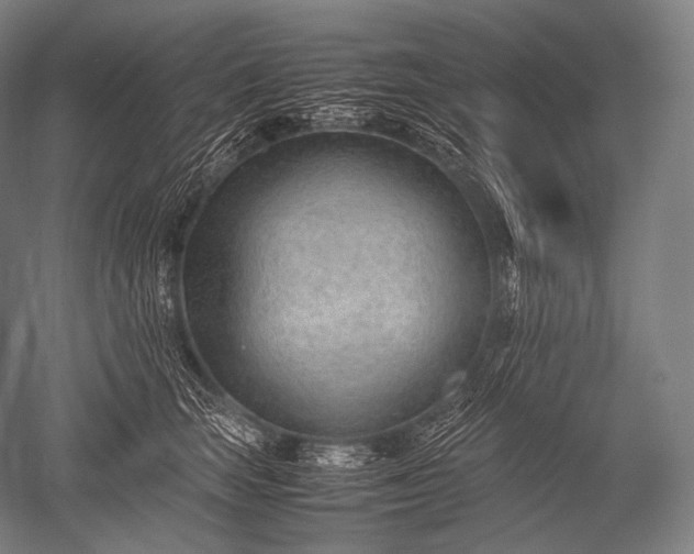 X0000052560663200507081637