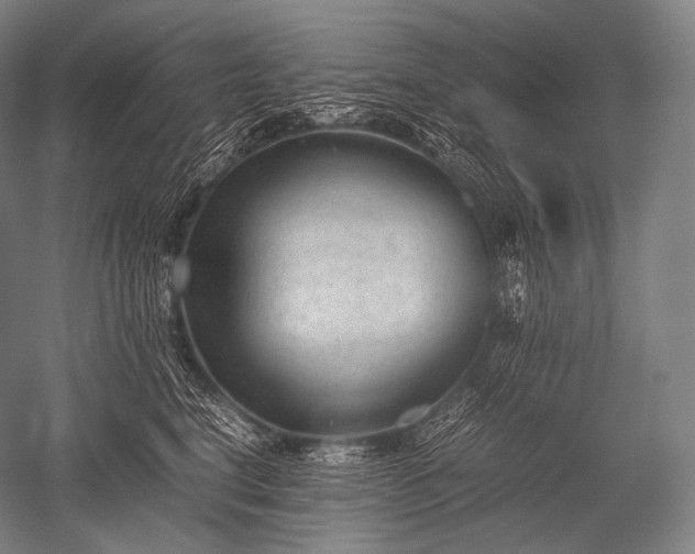 X0000052560664200507081637
